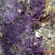 Calaverite with Fluorite