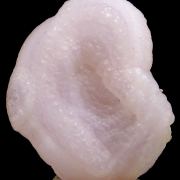 Quartz var. chalcedony