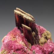 ERYTHRITE two habits