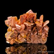 Wulfenite