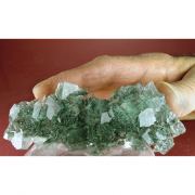 Fluorite, Chlorite