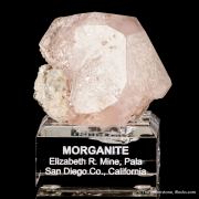 Morganite