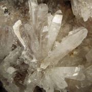 Creedite