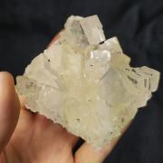 HALITE - Poland