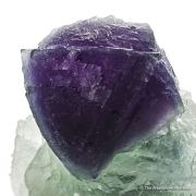 Fluorite on Fluorite