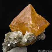 Scheelite with Muscovite