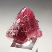 SPINEL