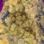 Mimetite  Var. Campylite