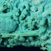 Chrysocolla ( pseudo Gypsum? )