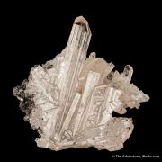 Cerussite (twinned)