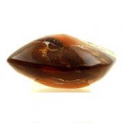 Amber (polished).