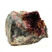 Erythrite + Phlogopite.