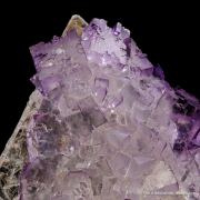 Fluorite on Celestine