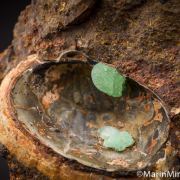 Anapaite in Shell