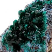 Dioptase. 585.5 ct.