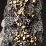 Hutchinsonite with Pyrite