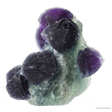 Fluorite on Fluorite