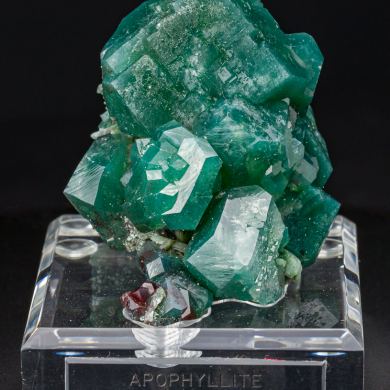 Celadonite in Apophyllite