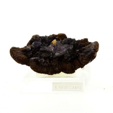 Goethite.