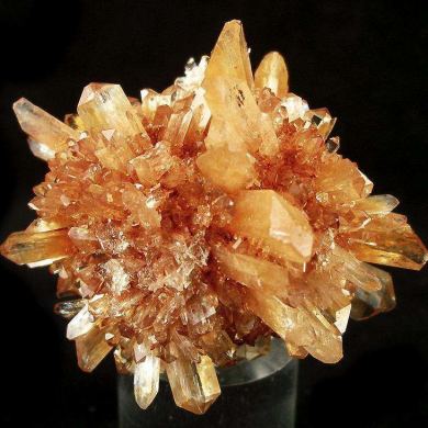 Creedite