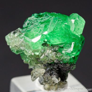 Tsavorite with Diopside