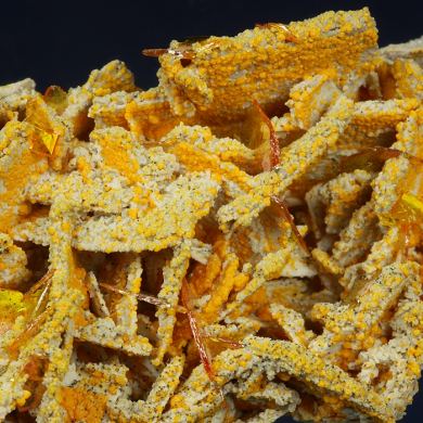 Wulfenite with Mimetite