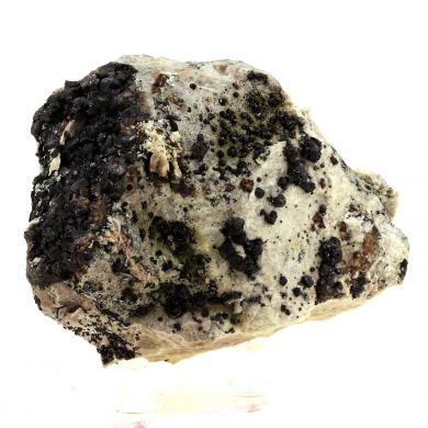 Bournonite + Sphalerite.