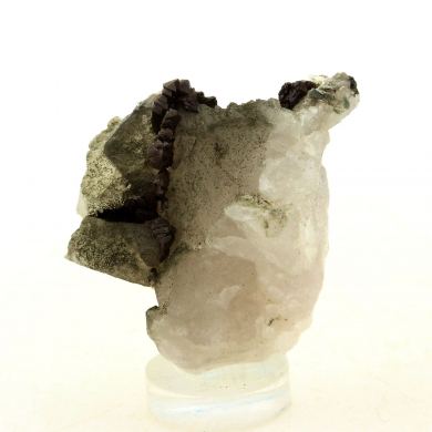 Anatase + Quartz + Chlorite.