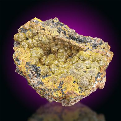 Mimetite  Var. Campylite