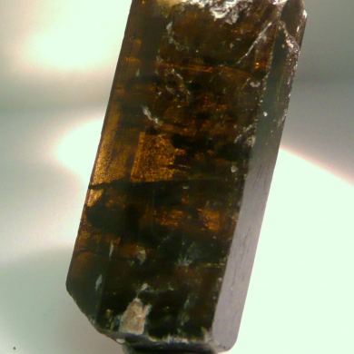 Dravite Tourmaline xl