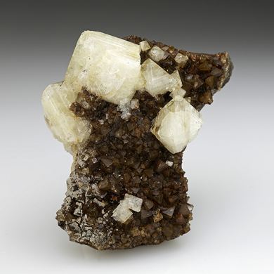 Wardite