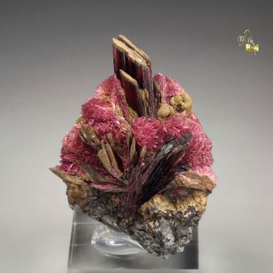 ERYTHRITE two habits