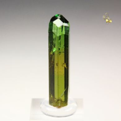 gem TOURMALINE var. DRAVITE