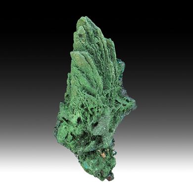 Malachite pseudomorph with Dioptase