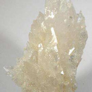 Creedite