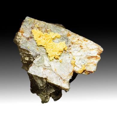 Carlosbarbosaite with Albite