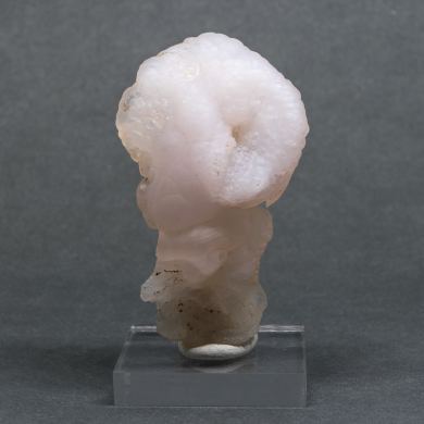 Quartz var. Chalcedony