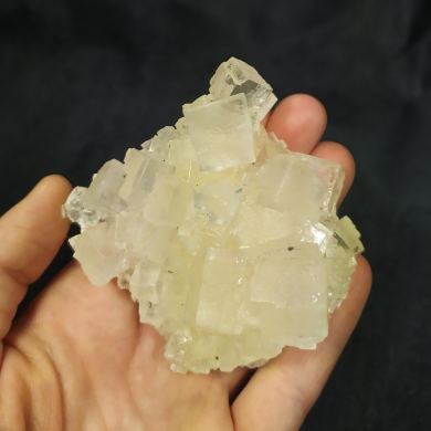 HALITE - Poland