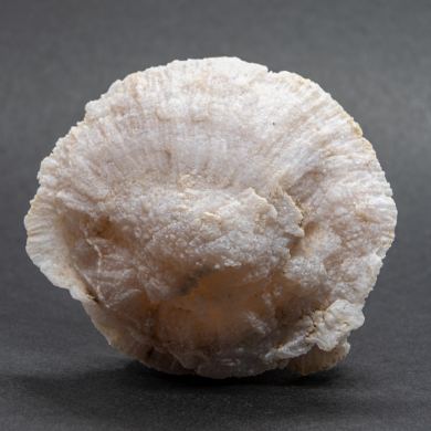 Quartz var. Chalcedony