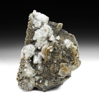 Fluorapatite with Siderite, Muscovite, Sphalerite, Chalcopyrite