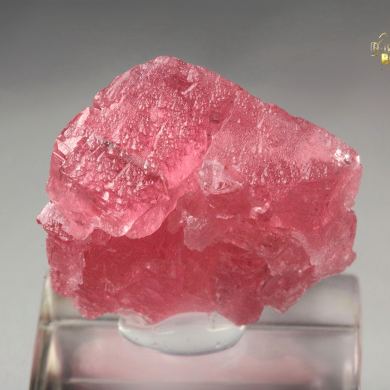 gemmy RHODOCHROSITE