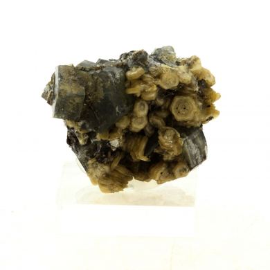 Apatite + Muscovite. 49.74 ct.