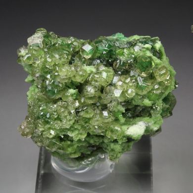 gem GARNET var. GROSSULAR with GREEN CHROMIAN PHANTOMS, DIOPSIDE