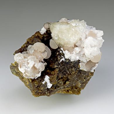 Imayoshiite with Andradite, Bultfonteinite, Shinichengite