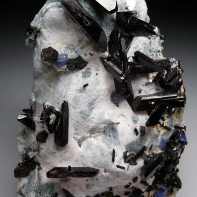 Neptunite with Benitoite