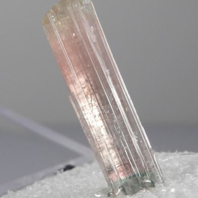 Elbaite var Rubellite