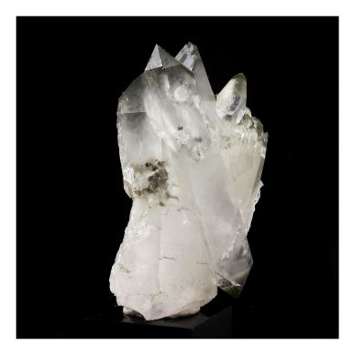 Anatase + Quartz + Chlorite.