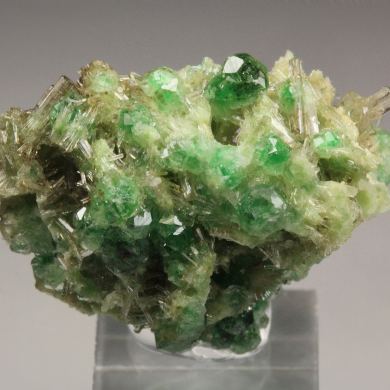 gem GARNET var. GROSSULAR with GREEN CHROMIAN PHANTOMS, DIOPSIDE