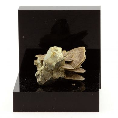 Pyrite, Siderite.