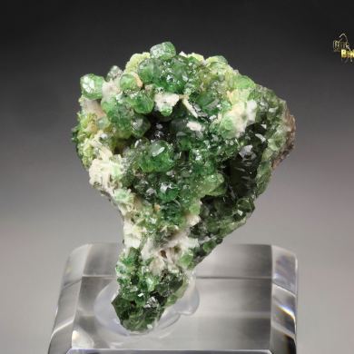 gem GARNET var. GROSSULAR var. CHROMIAN, DIOPSIDE